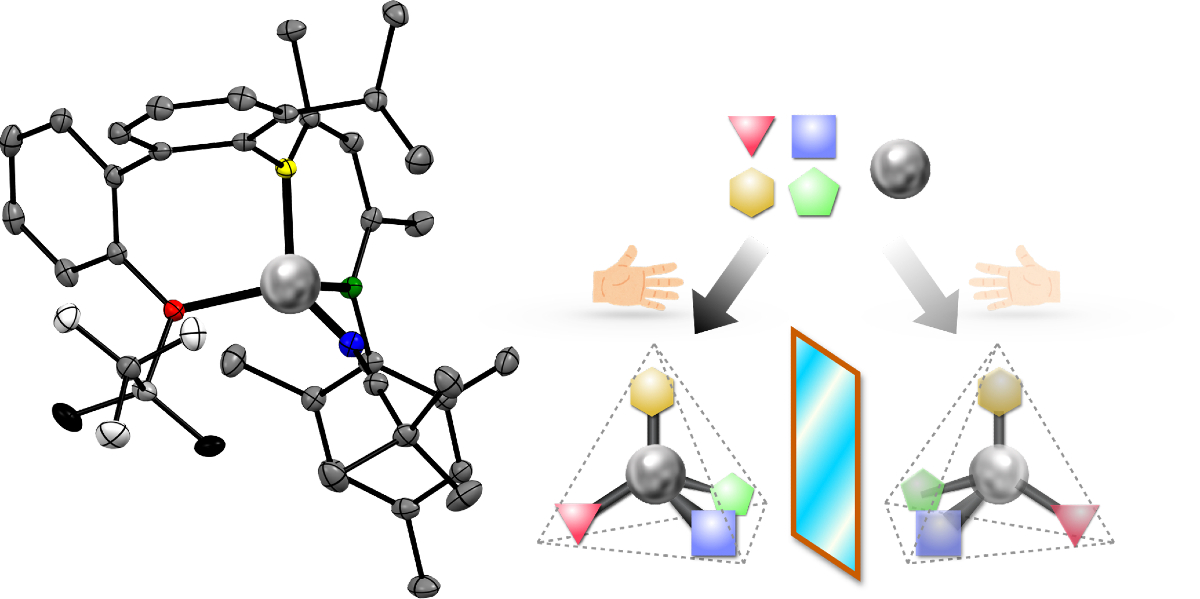 Construction of “chiral zinc” with high configurational stability.