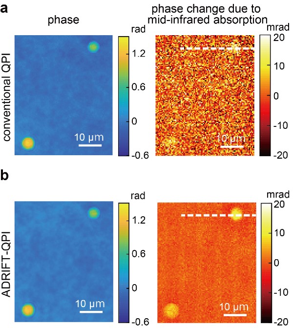 Four microscopy images of silica beads demonstrating the dynamic range extension of ADRIFT-QPI.