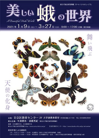スクール モバイルミュージアム 美しい蛾の世界 舞い飛ぶ天使の化身 東京大学 スクール モバイルミュージアム 美しい蛾の世界 舞い飛ぶ天使の化身 東京大学