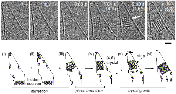 A row of grey squares above and a row of line diagrams below