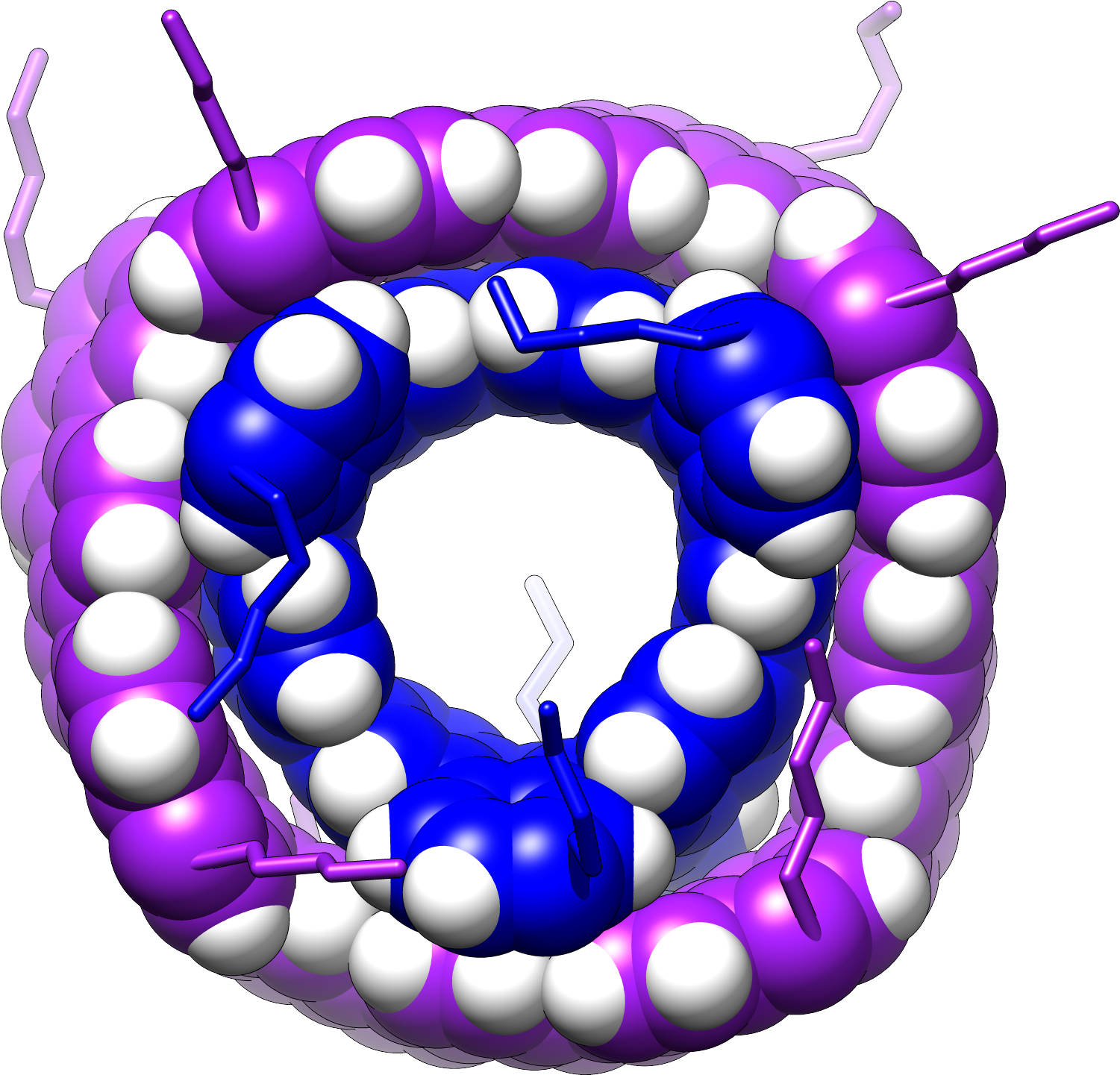 A thick purple ring with a blue ring inside it