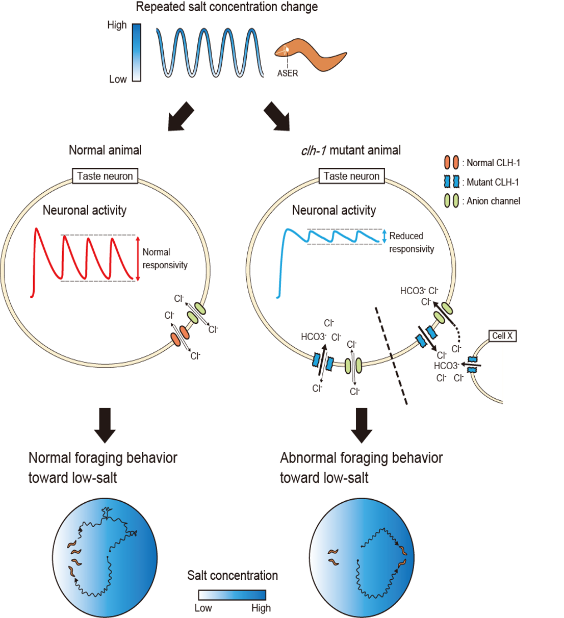 Illustration of research methods and results.