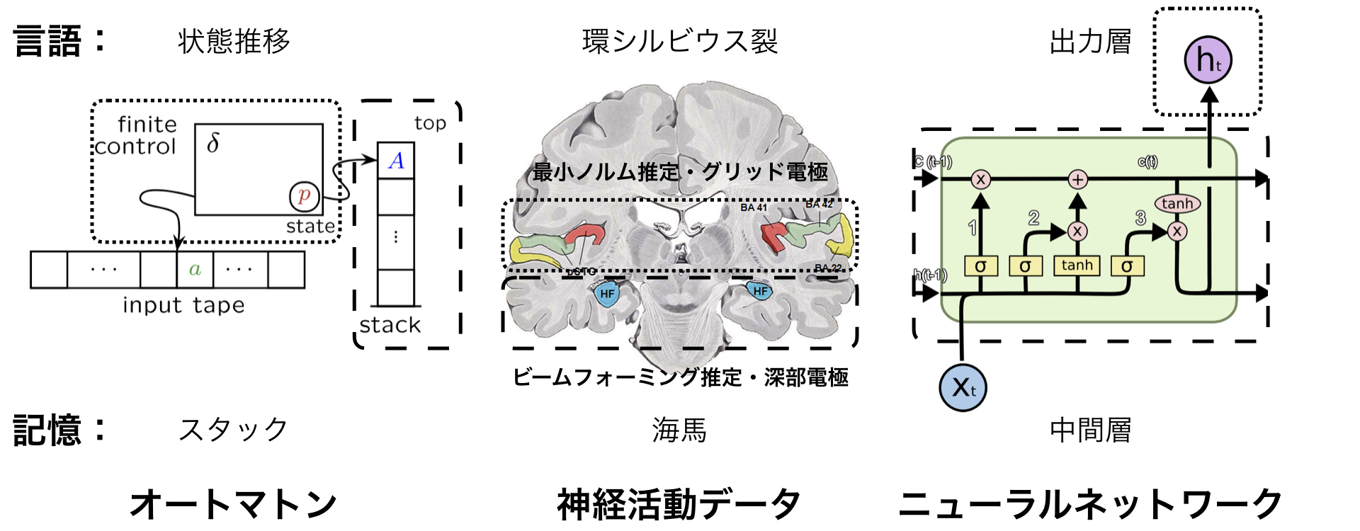 神経活動データと神経計算モデルの対照