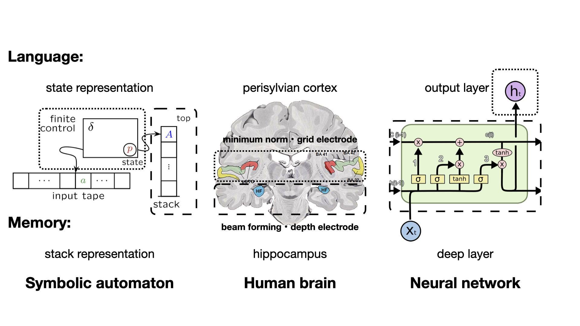 Correspondence of neurobehavioral data and neurocomputational models