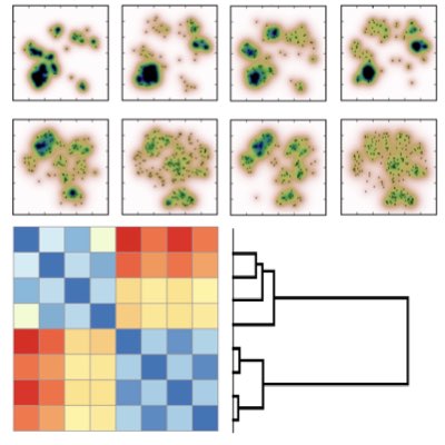 Laboratory for Quantitative Biology’s web-site