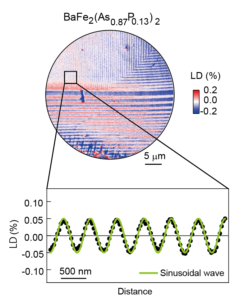 A red and blue circle with a green and black graph below