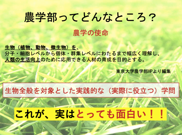 どんなところ?