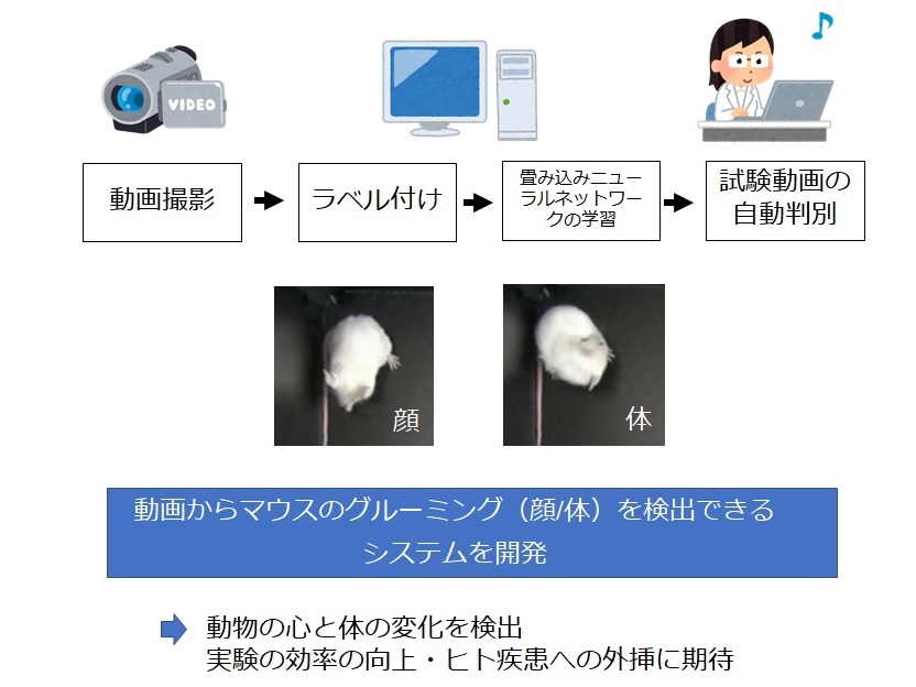 images