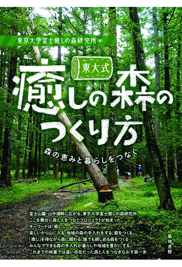 切り倒した木と森の写真