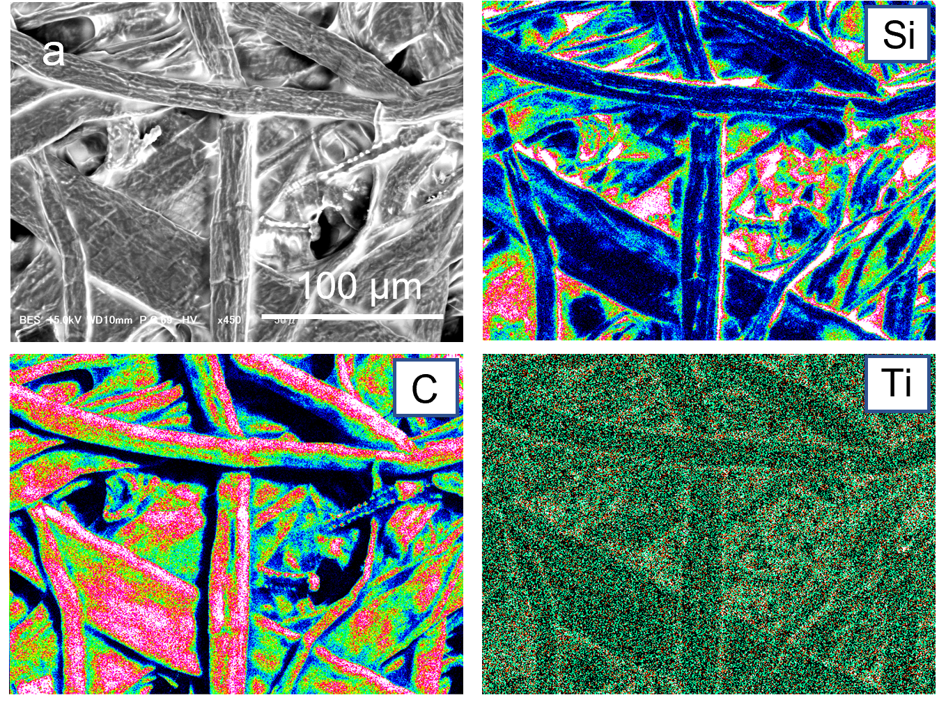 Four colored images of fibers