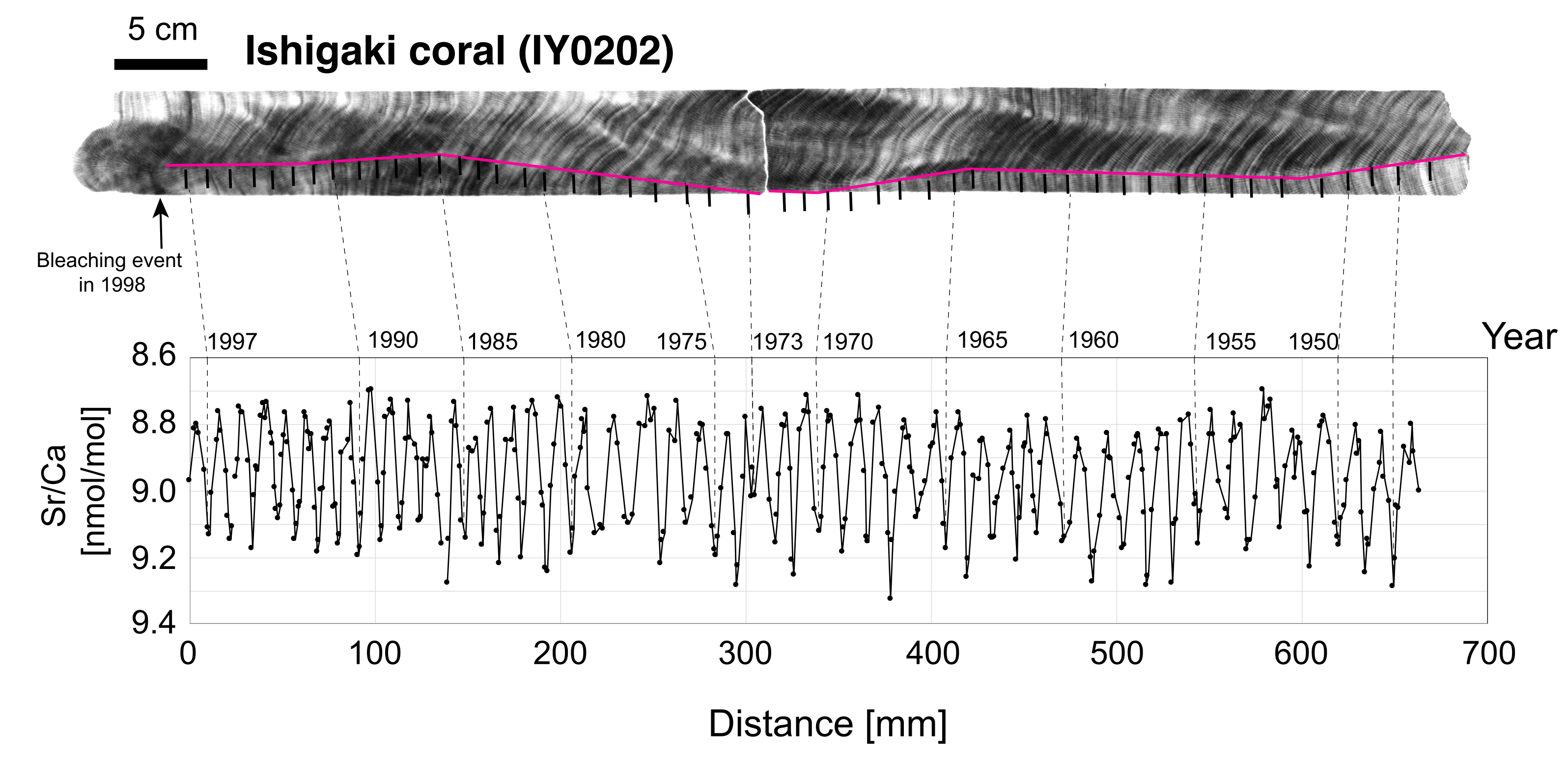 A dark area at the top. A line graph below.