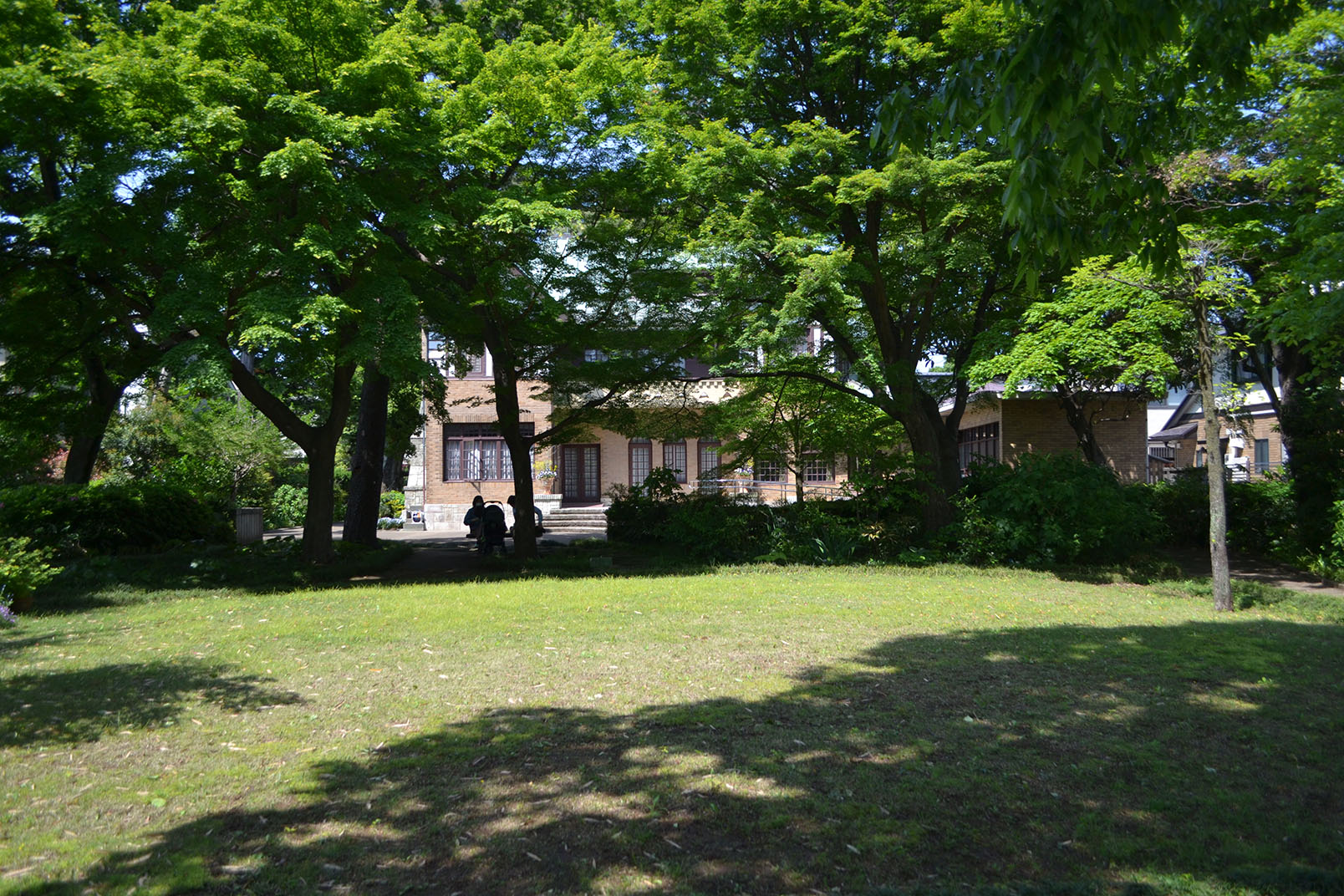 A small suburban garden in the sunshine, with a grassy lawn, an old house in the background and just a couple of people in the shade of a line of trees in between the lawn and building.
