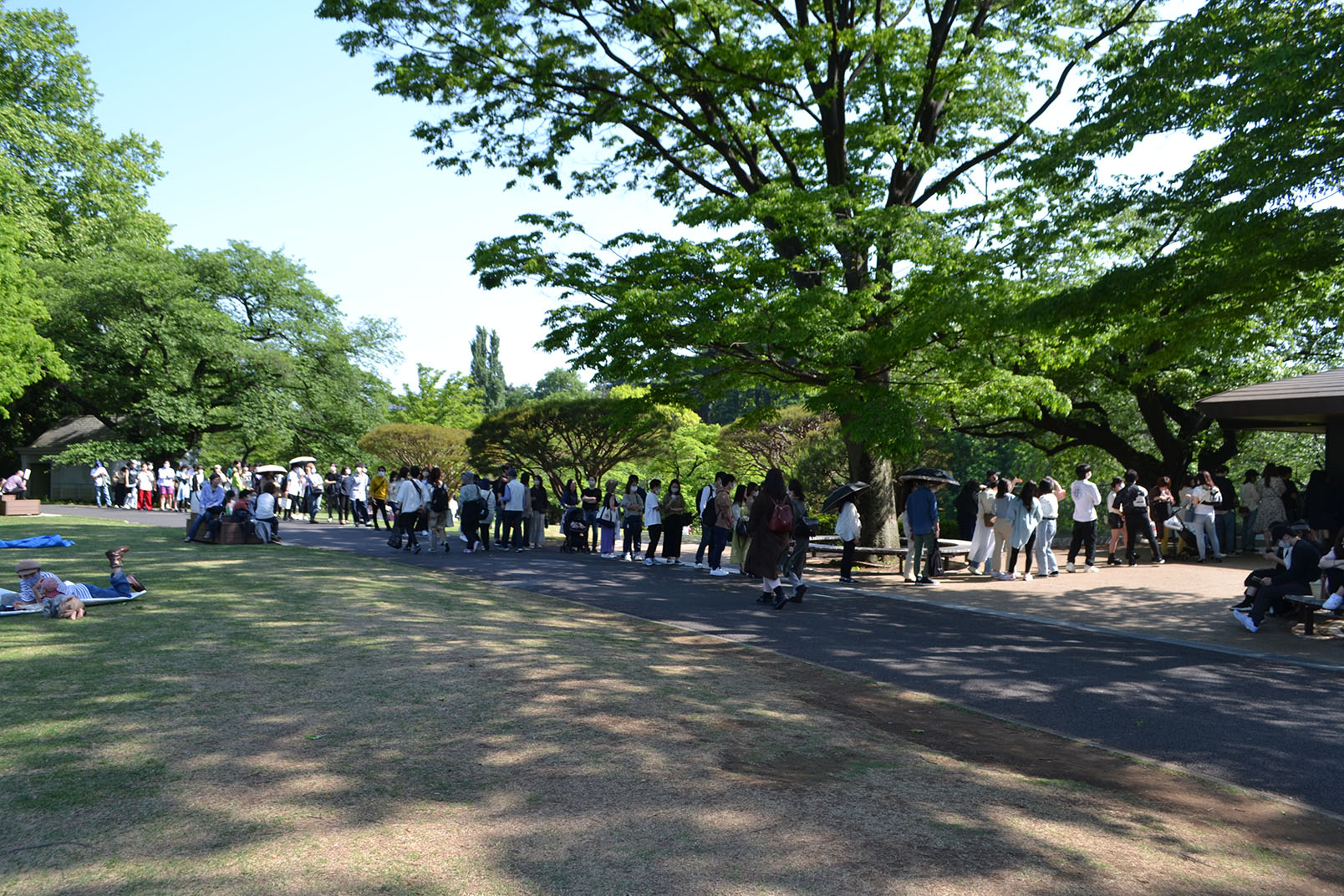 A crowded urban garden with many people waiting in a line for the cafe.