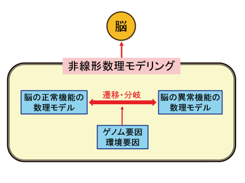 非線形動力学に基づく次世代AIと基盤技術に関する研究開発