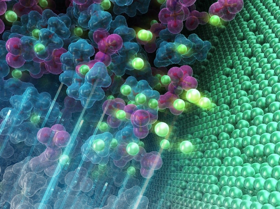 Rendering of the plating and stripping reaction of the lithium metal electrode