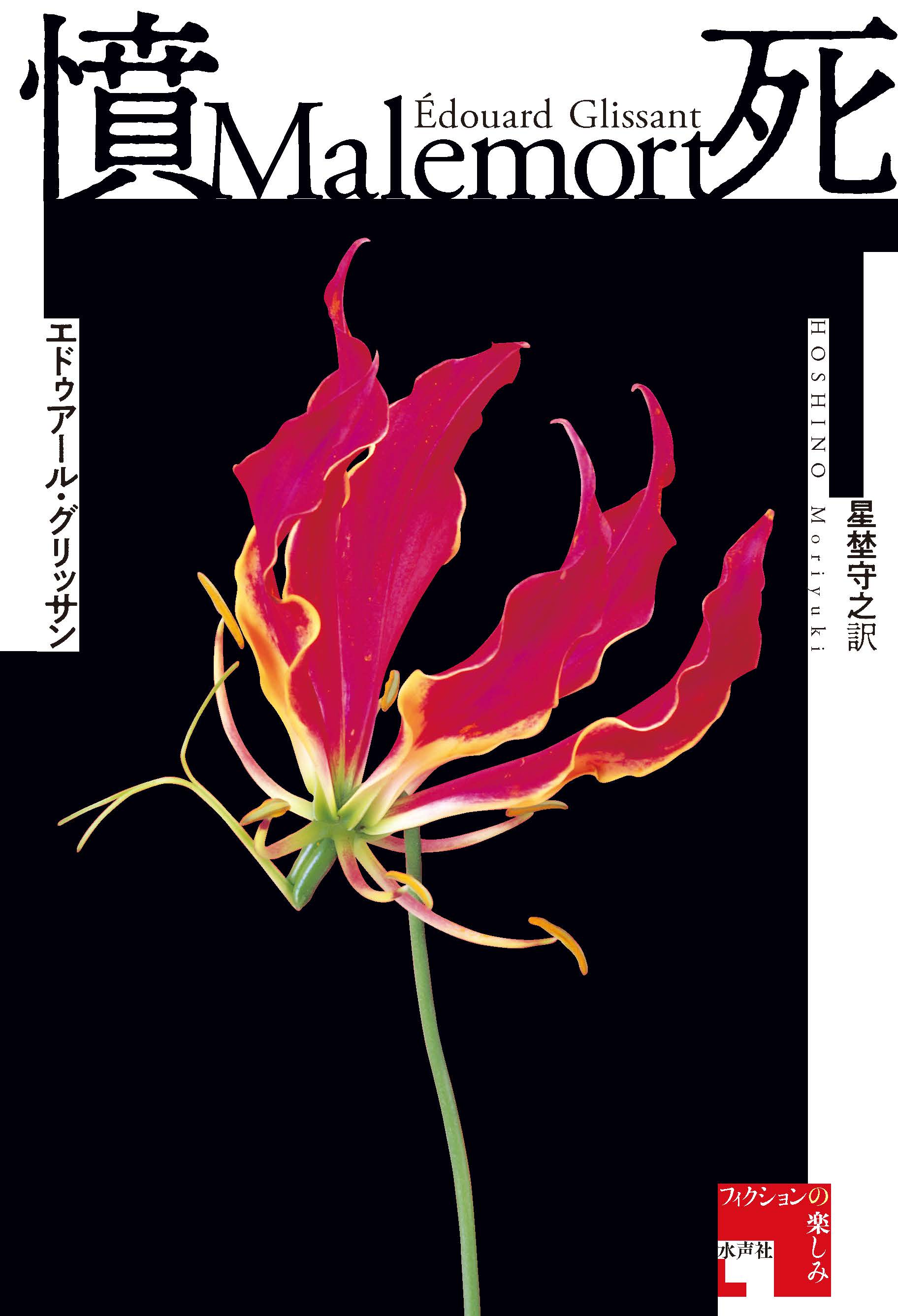 黒い背景に赤のグロリオサの花