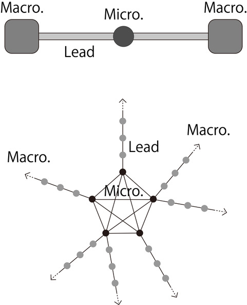 A schematic view of open quantum system and its modelling.