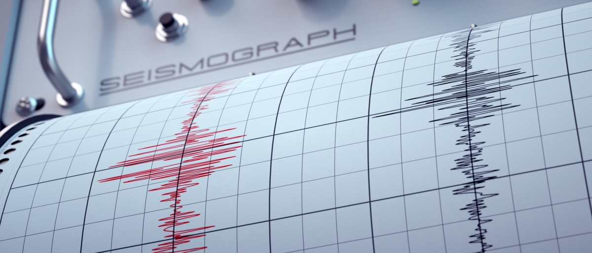 Seismic Monitoring System