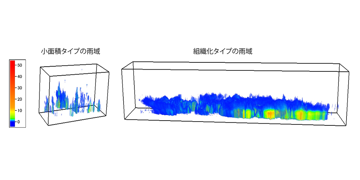 小面積タイプの雨域、組織化タイプの雨域