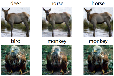 Bird or monkey? To our eyes the input images x1 and x2 look the same, but hidden features nudge a typical neural network to classify this bird image a