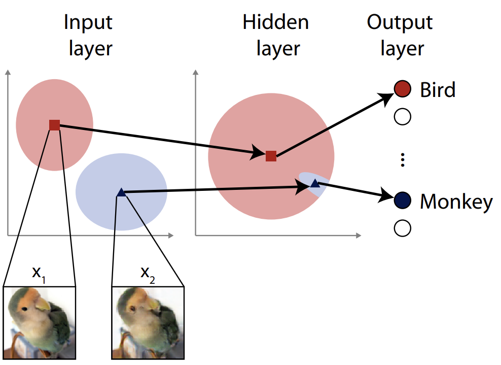 Two small pictures of a parrot, two large colored circles with arrows between them.