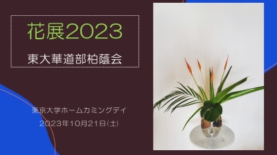 花展2023