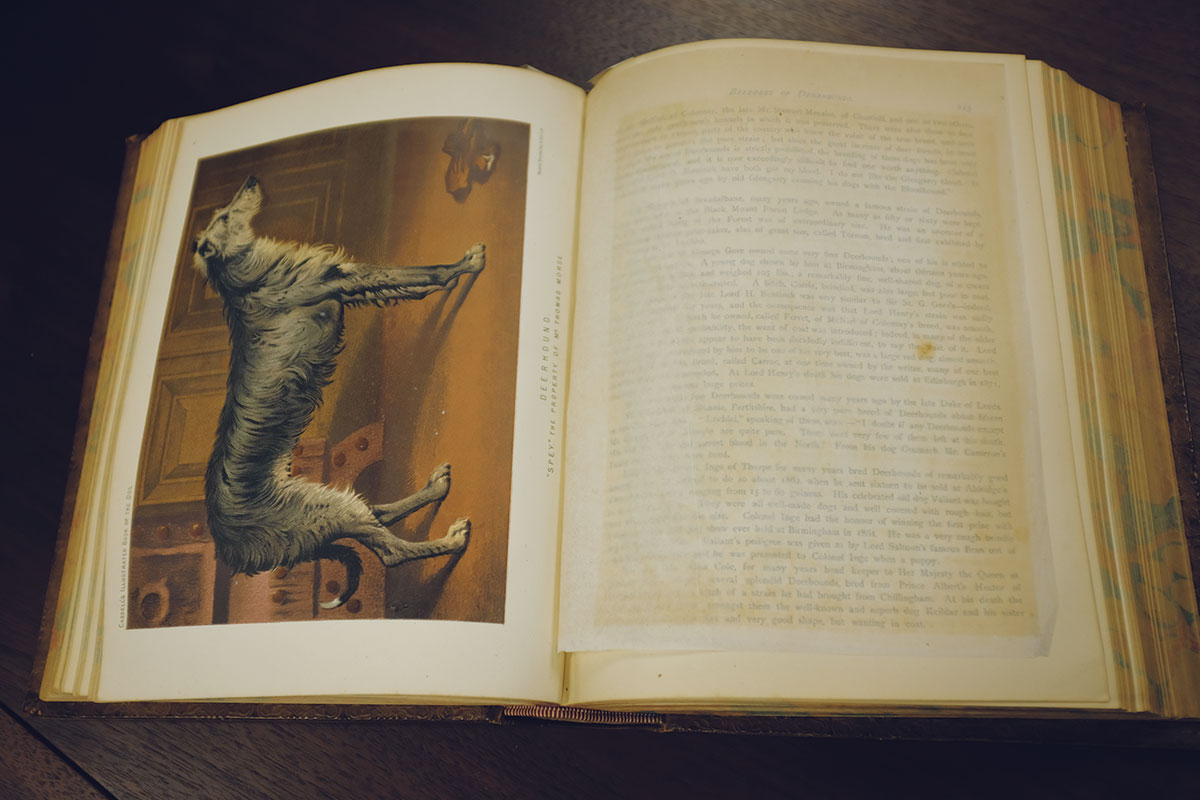 The Illustrated Book of the Dog