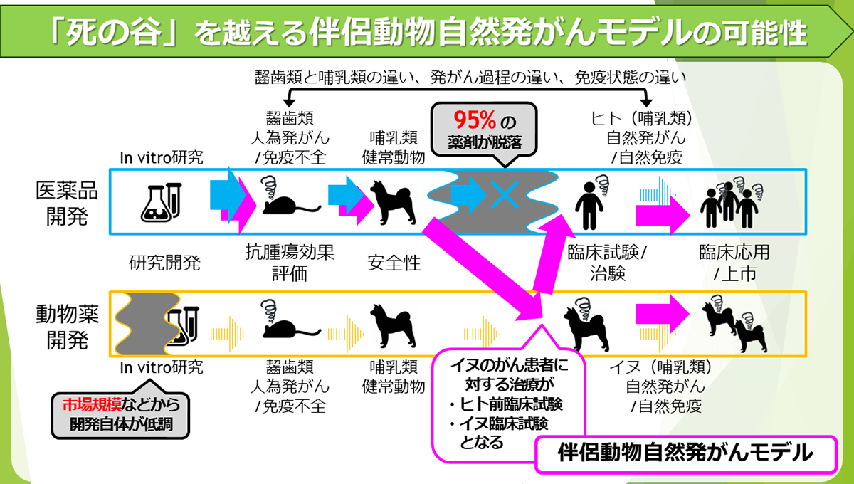 「死の谷」を超える伴侶動物自然発がんモデルの可能性