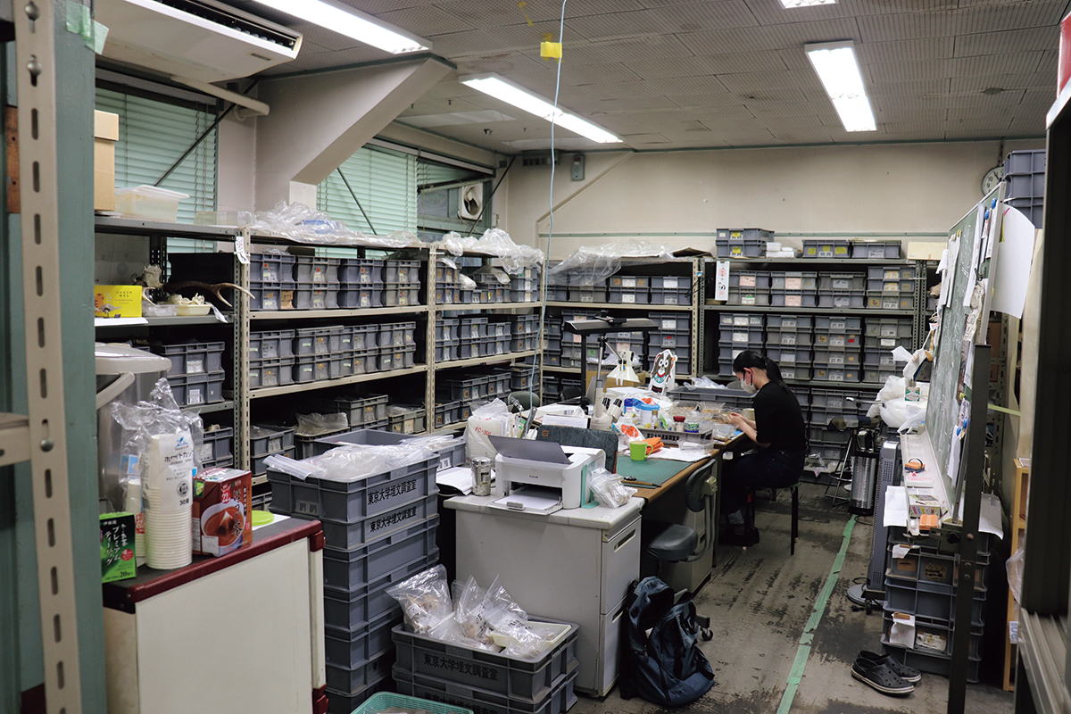 Archaeological Research Unit