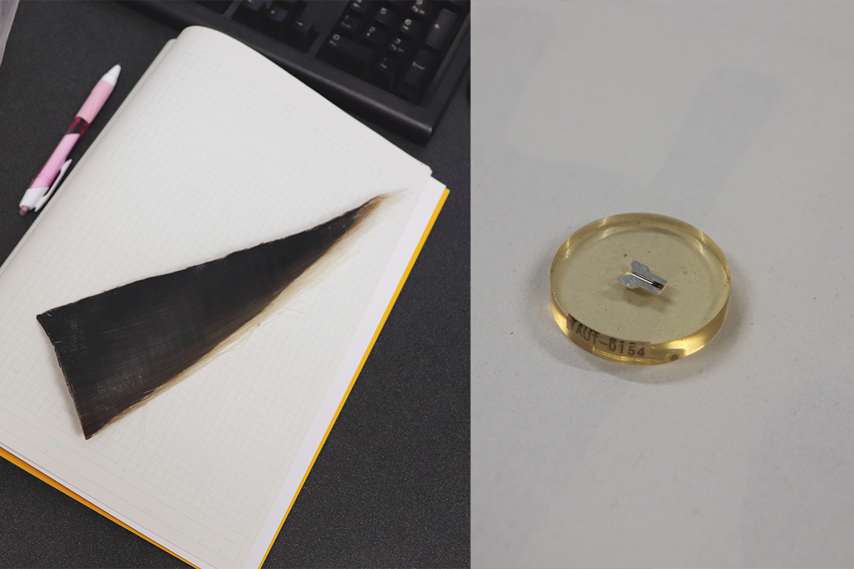 Samples dated using AMS