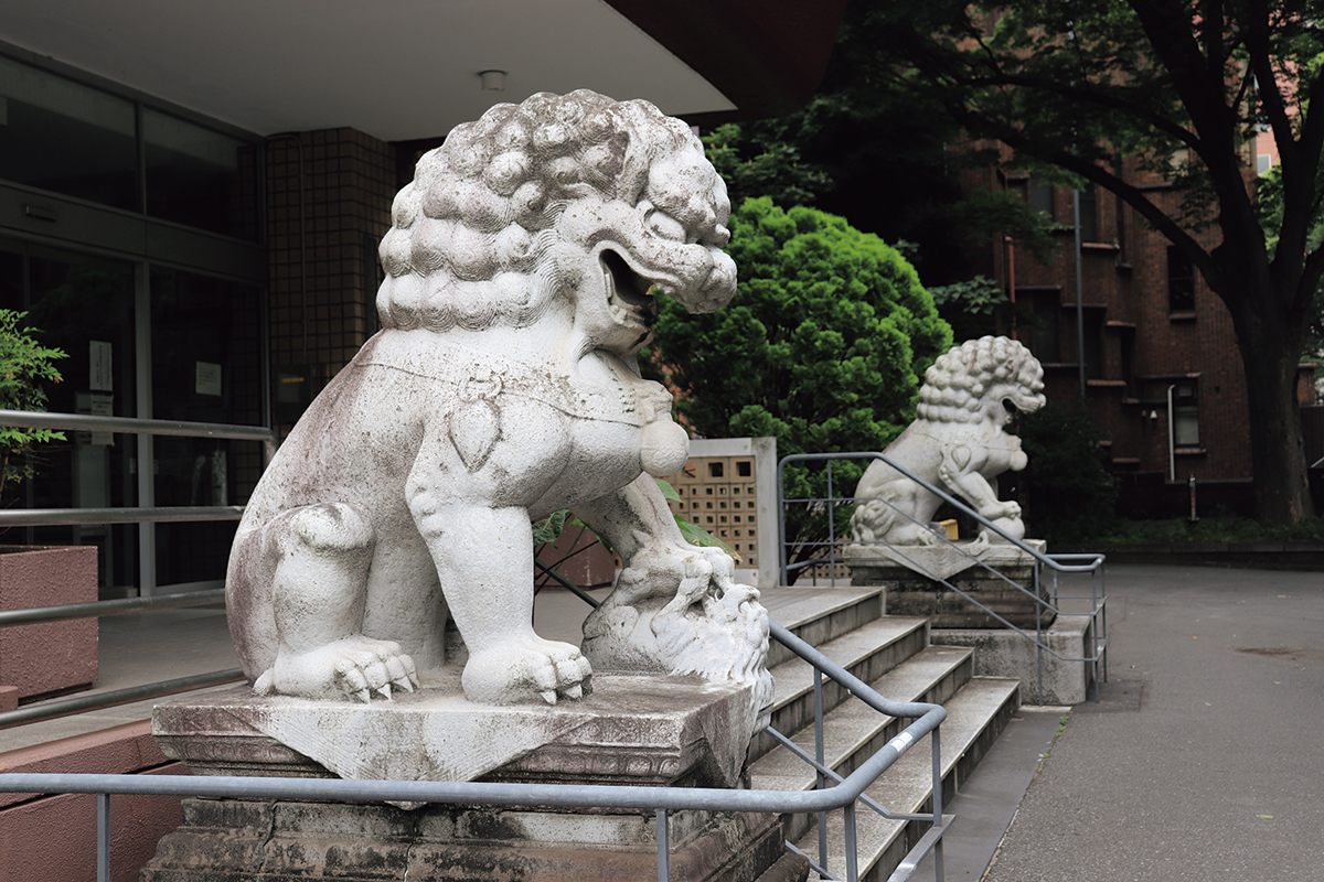 東洋文化研究所の狛犬