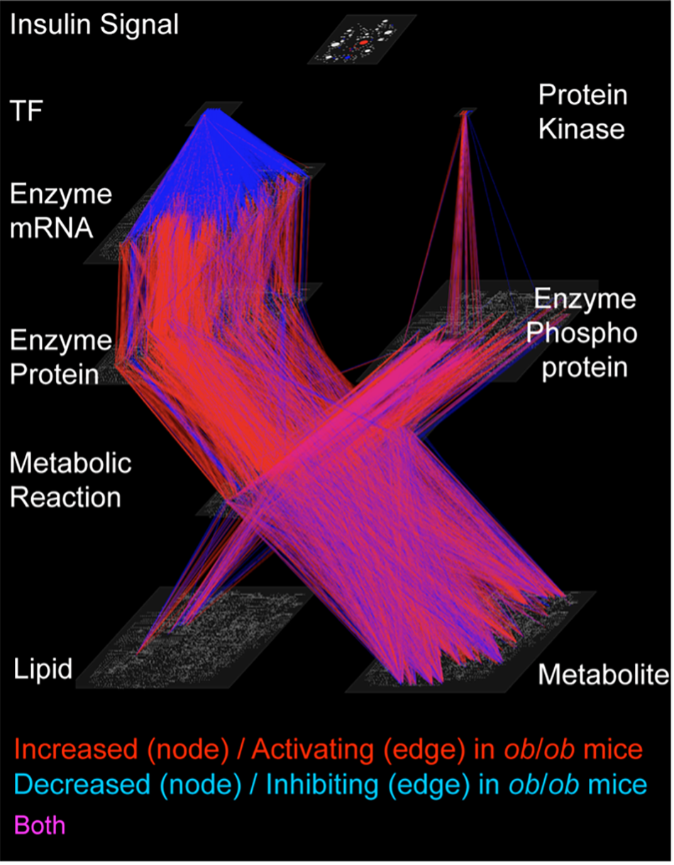 Data from the transomic analysis charted in pink and blue. 