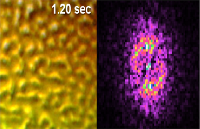 Discovery of water that looks like spiral liquid crystals at the interface of high-pressure spiral ice and water – The mysterious relationship between water and mirrors – |  University of Tokyo