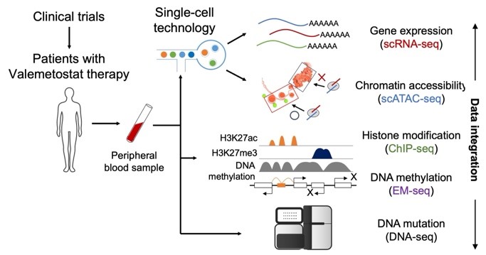 Illustration of research workflow