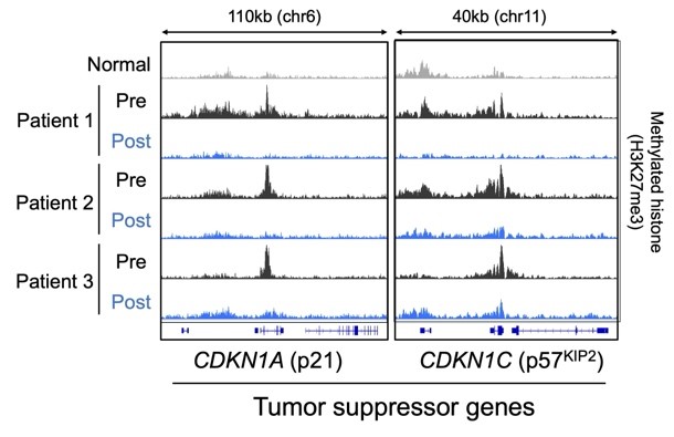 Chart illustration reactivation of tumor suppressor genes by valemetostat