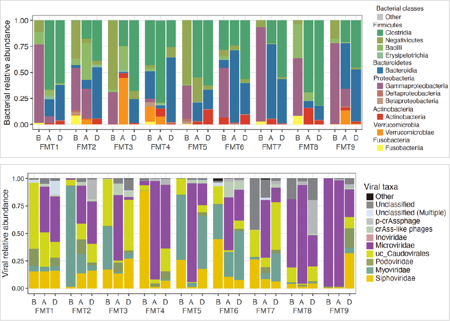 腸内細菌叢（上）と腸内ウイルス叢（下）のグラフ
