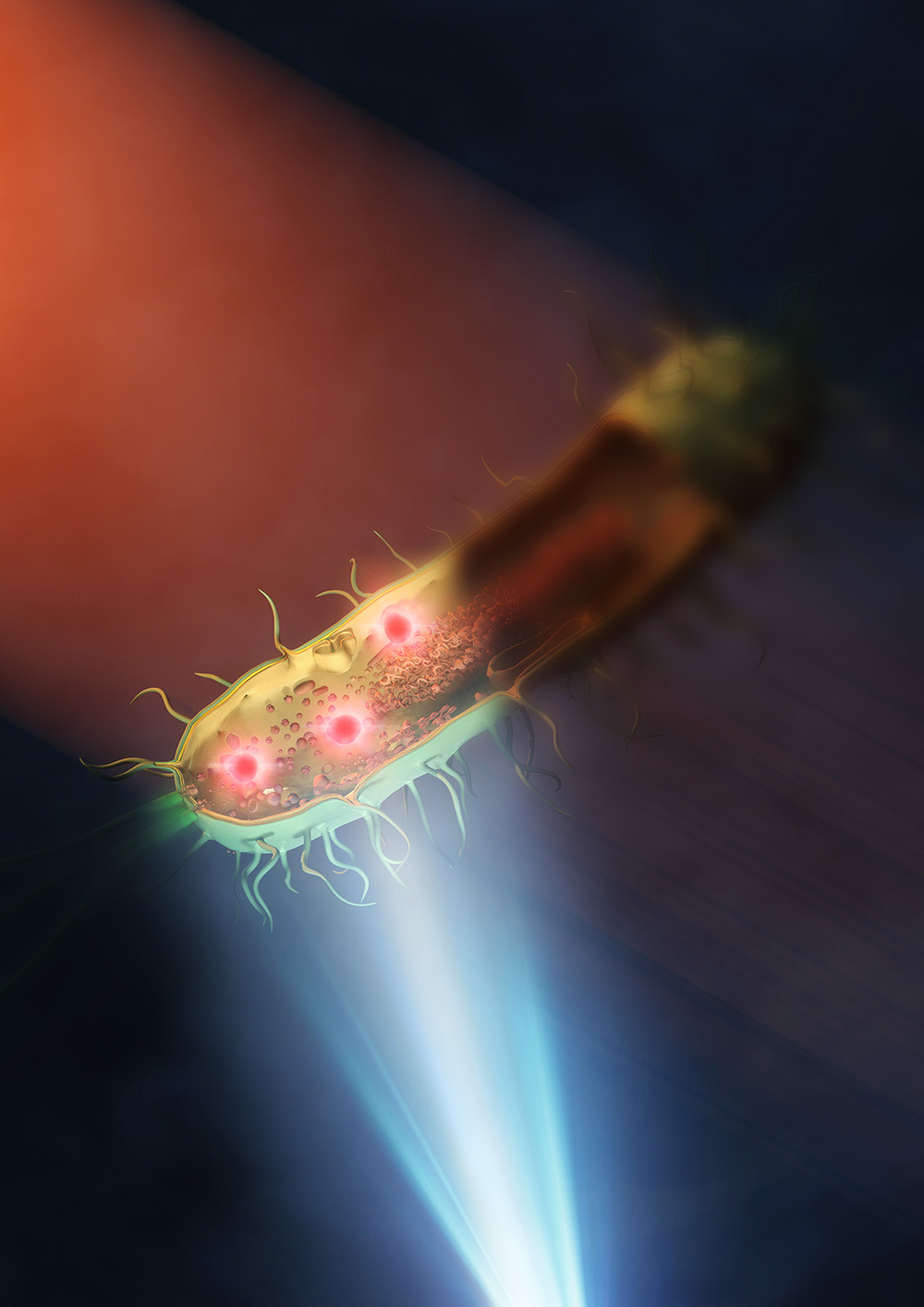 Illustration of bacteria under mid-infrared light.