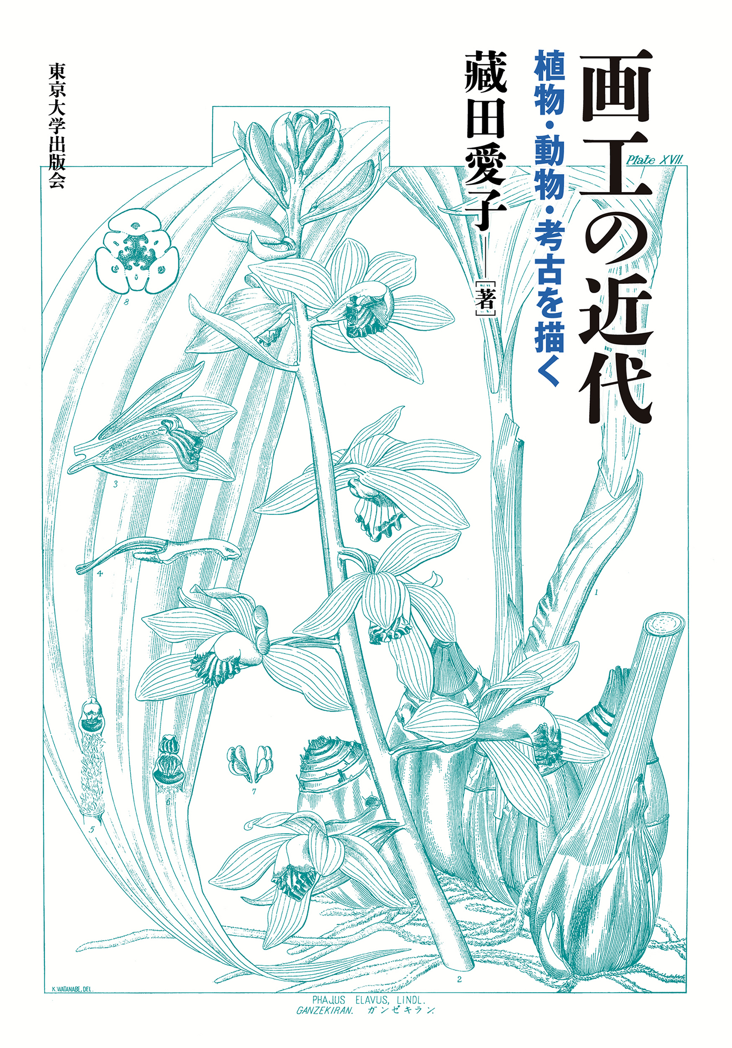 植物のイラスト