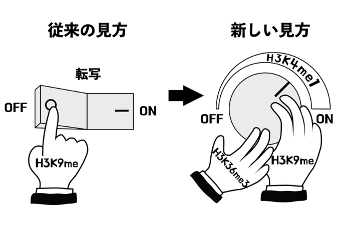 images