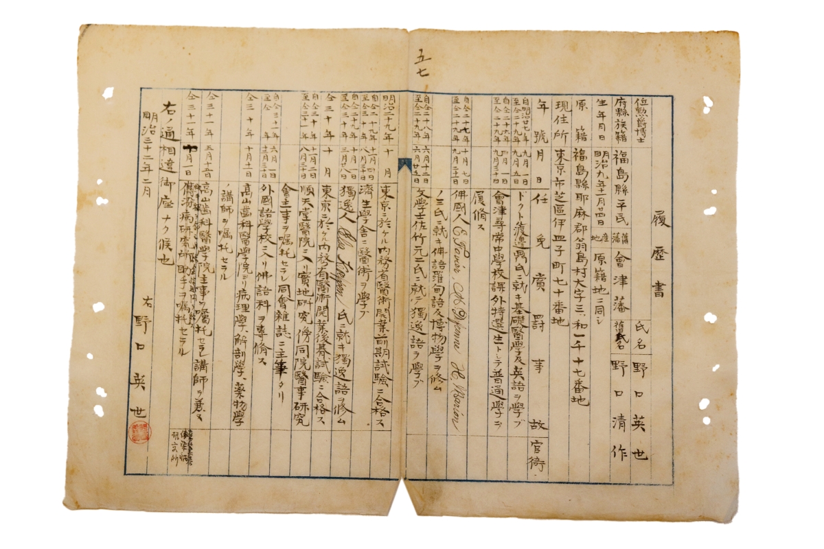 野口の履歴書