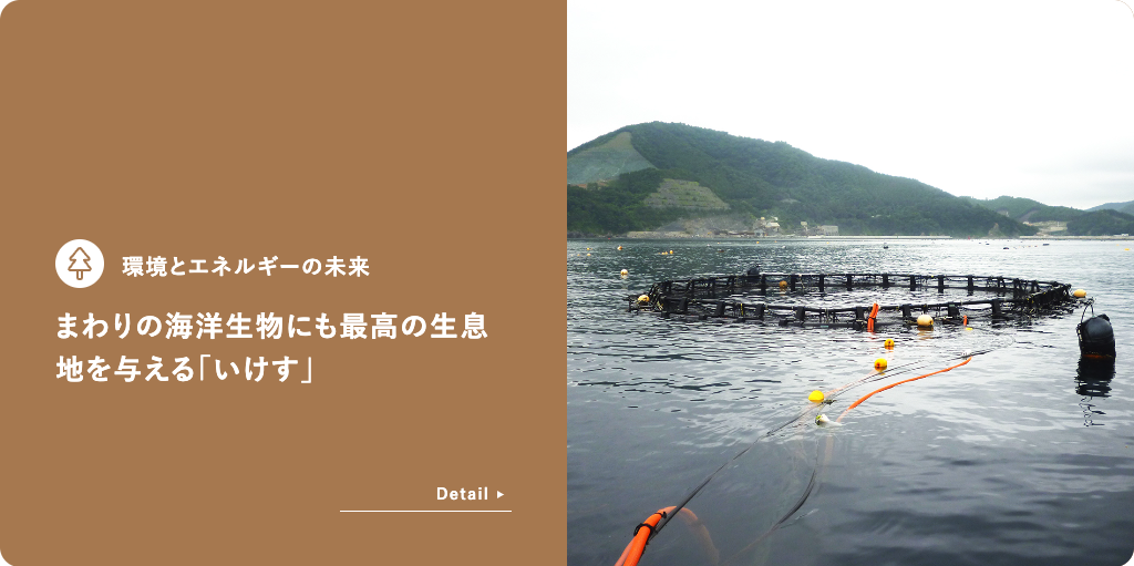 環境とエネルギーの未来