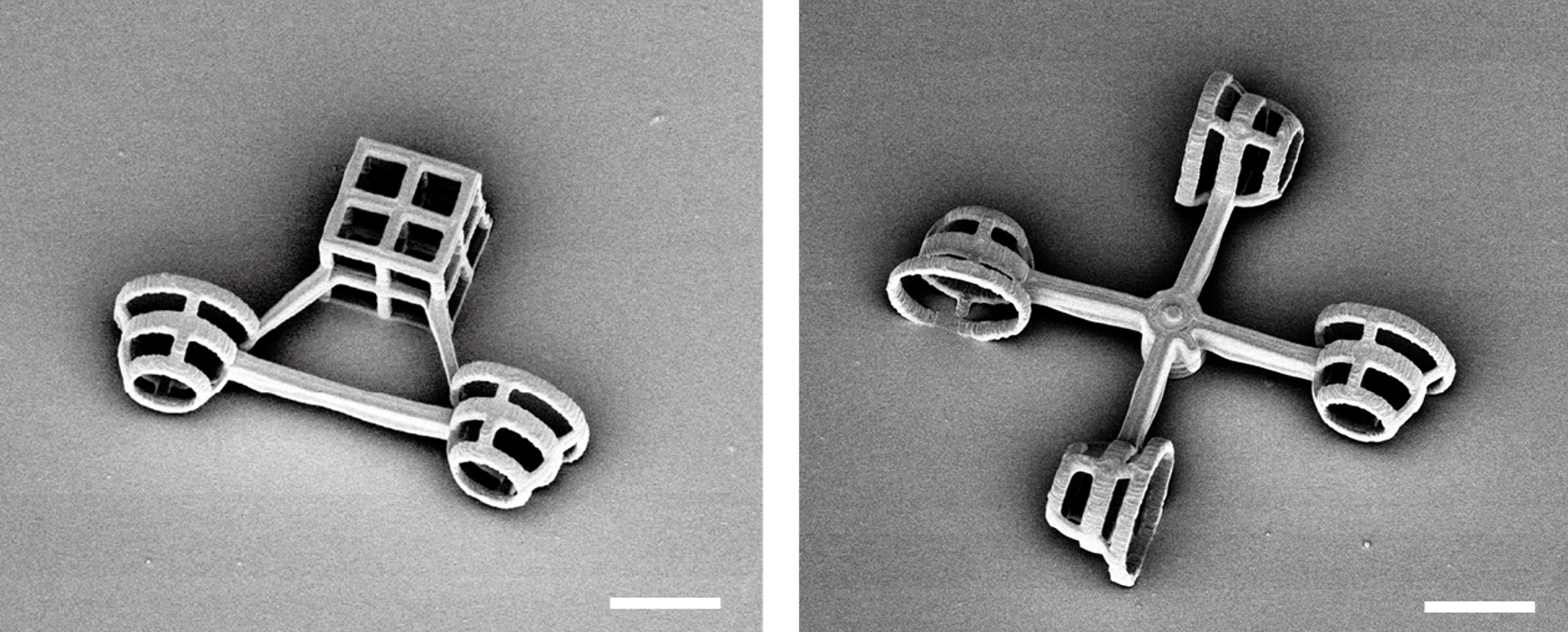 Grey, scanning electron microscopy image of the two micromachines.