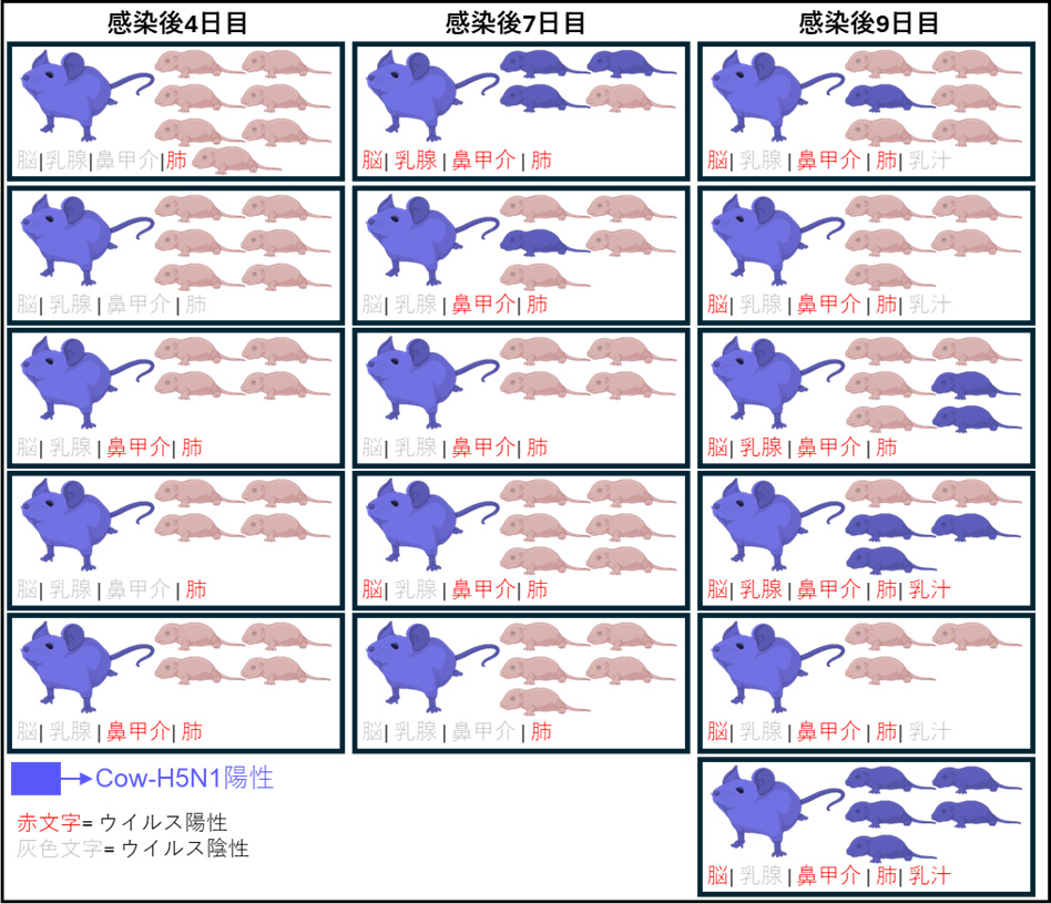 図2
