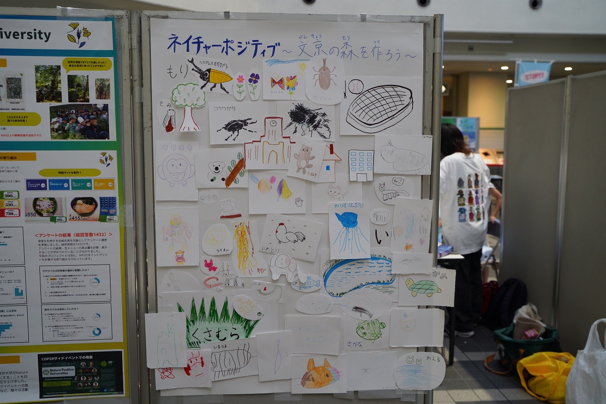 images