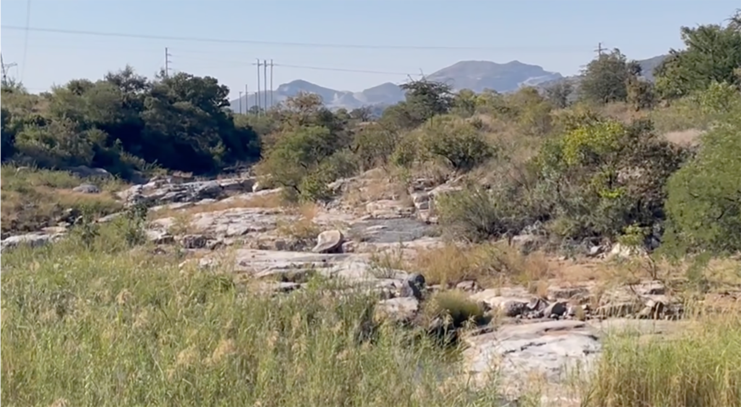Photo of landscape in South Africa from area where rock sample was taken. Arid and sunny, with some low lying bushy vegetation.