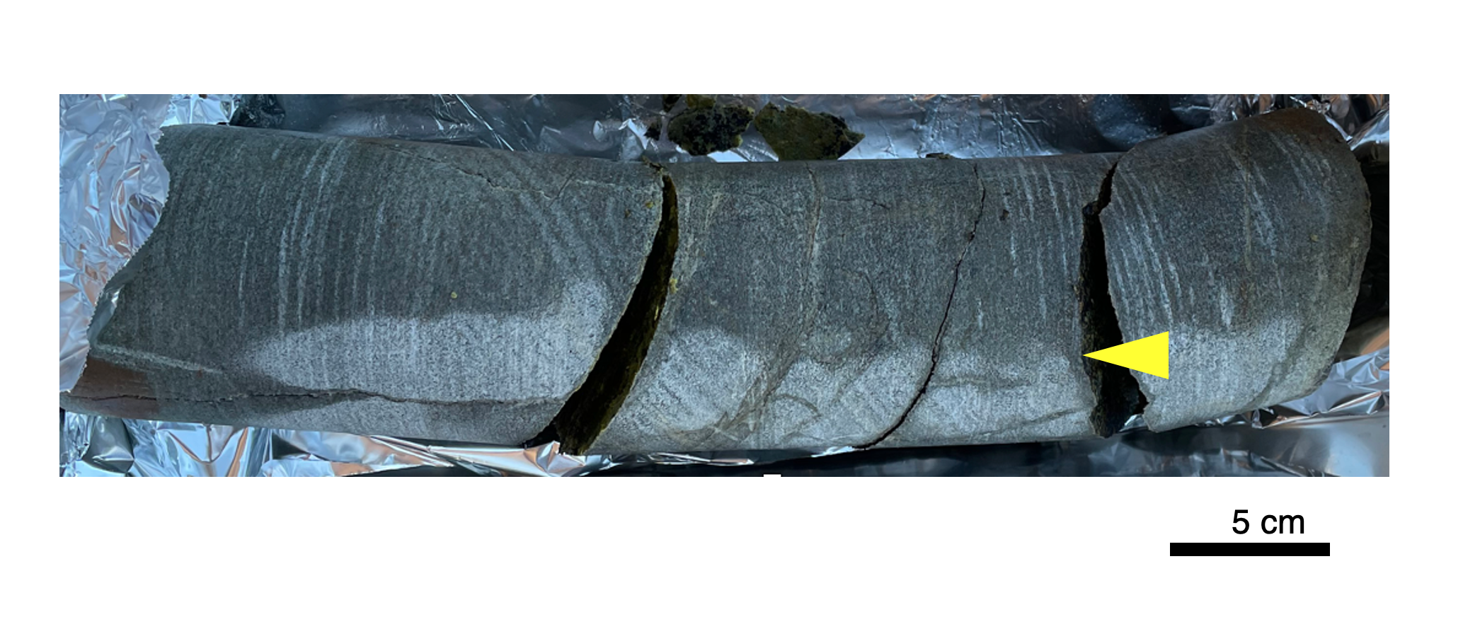 Photo of grey, fractured, cylindrical core, in which the microbes were found.
