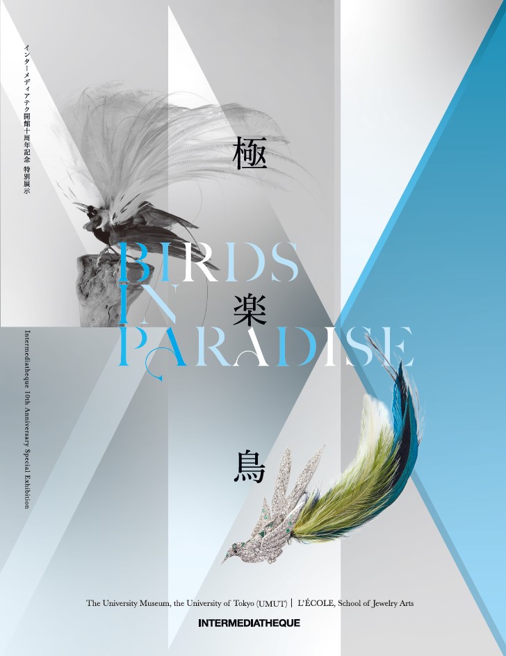 A blue and gray cove, photos of bird jewelries