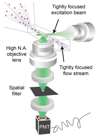 A collection of lenses and beam of particles flowing through them.
