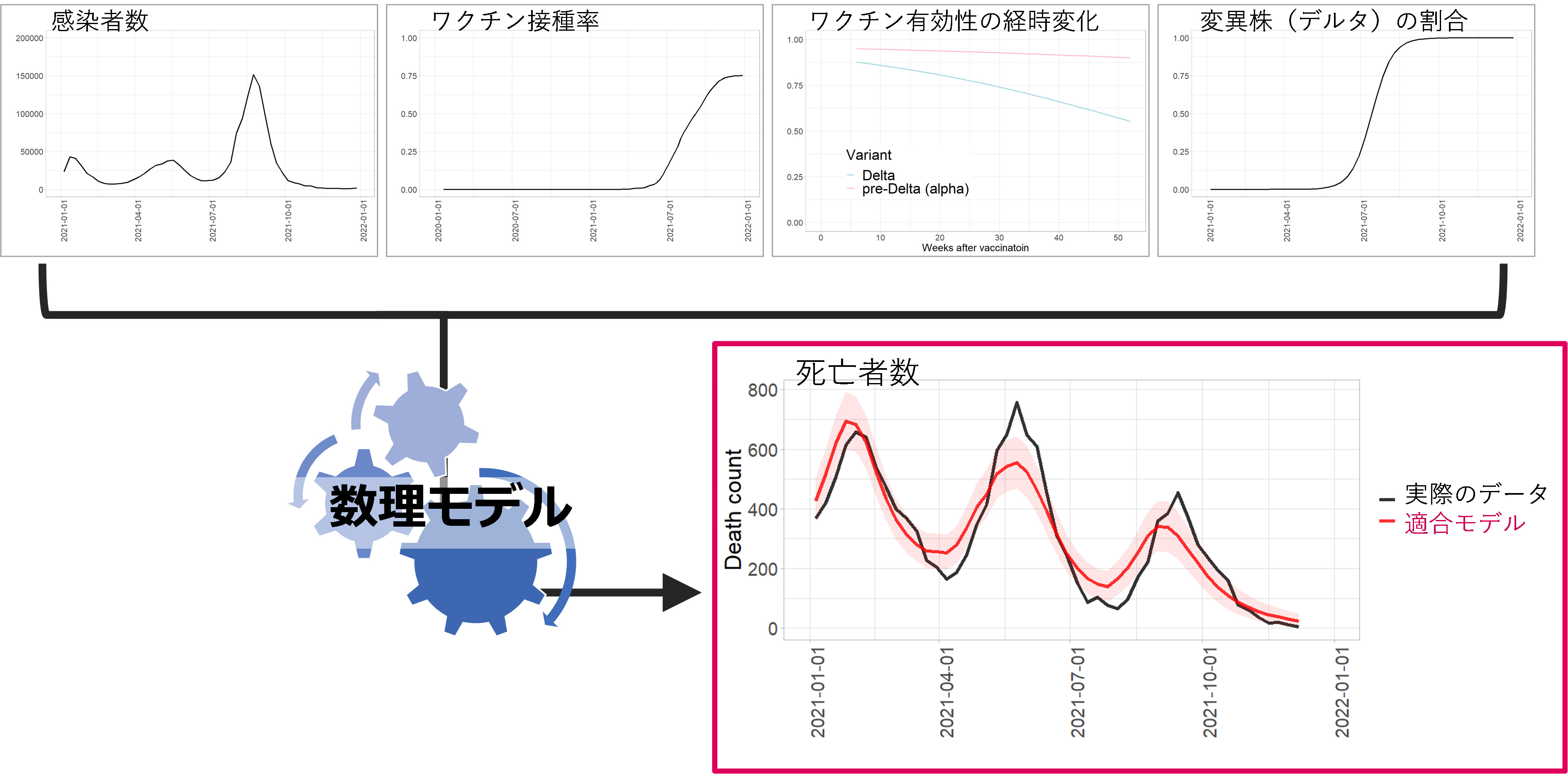 ワクチンに関する誤情報が新型コロナウイルス感染症死亡者数に与えた影響を解明