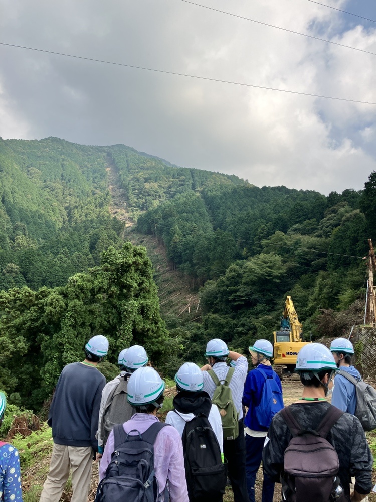 住友林業伐採現場見学